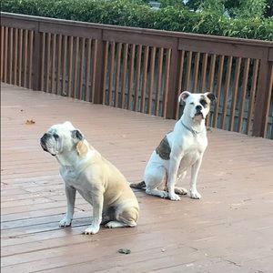 Meet your Posher, Sherif